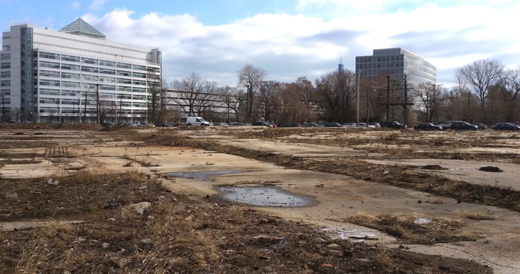 Site in 2015 prior to remediation